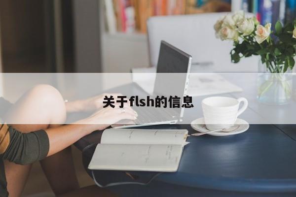 关于flsh的信息