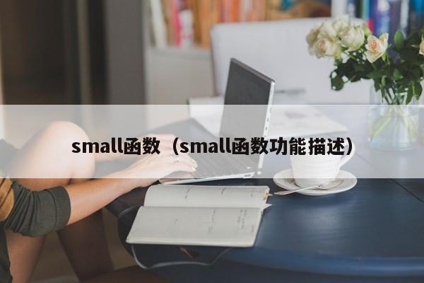 small函数（small函数功能描述）
