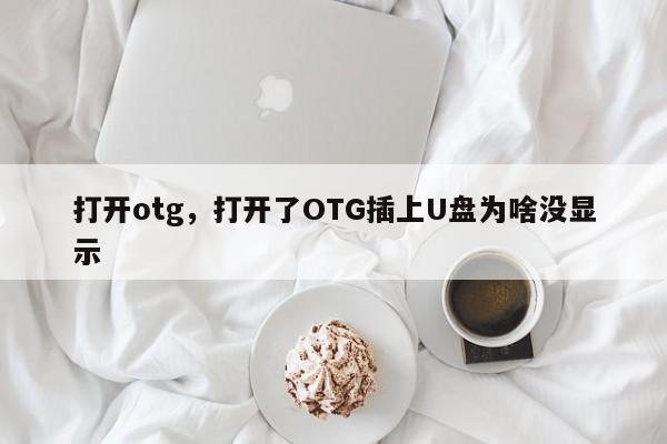 打开otg，打开了OTG插上U盘为啥没显示