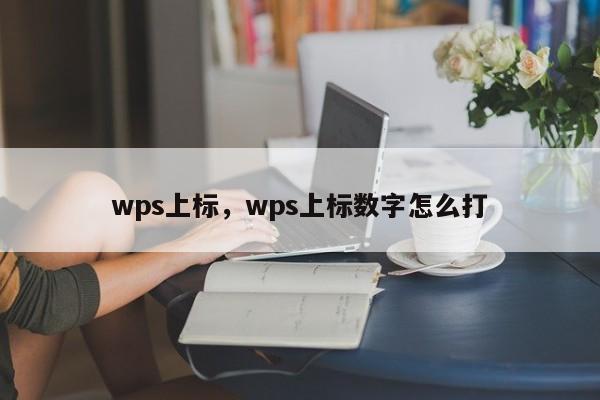 wps上标,wps上标数字怎么打