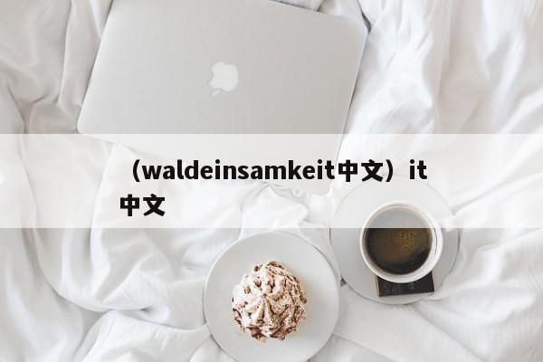 (waldeinsamkeit中文)it中文