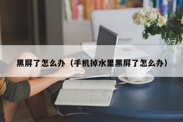 黑屏了怎么办(手机掉水里黑屏了怎么办)