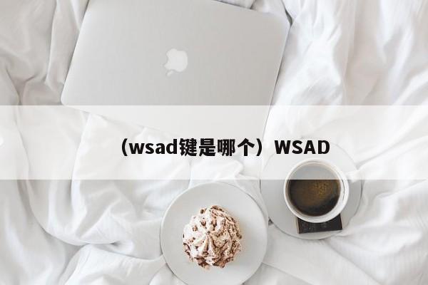 (wsad键是哪个)WSAD