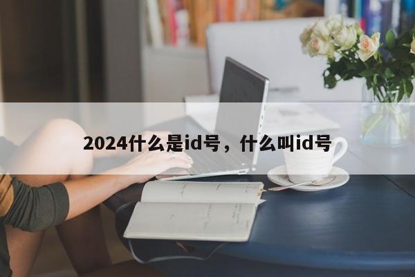 2024什么是id号,什么叫id号