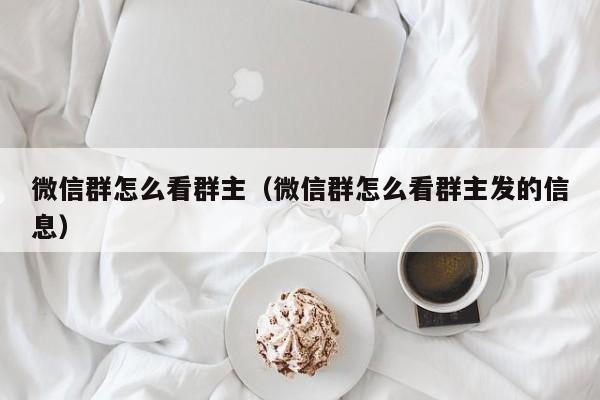 微信群怎么看群主(微信群怎么看群主发的信息)