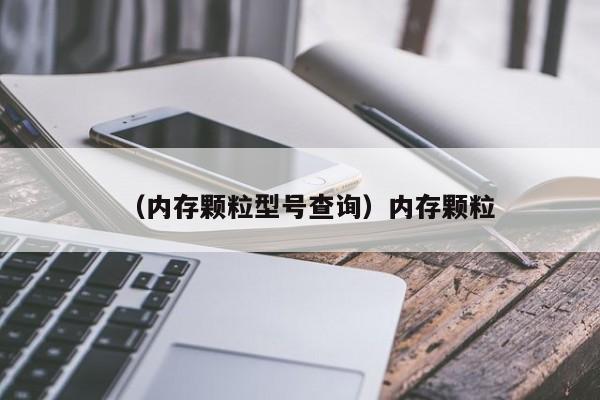（内存颗粒型号查询）内存颗粒