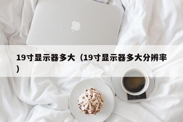 19寸显示器多大（19寸显示器多大分辨率）