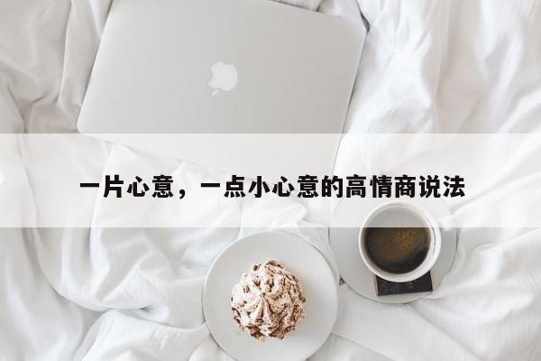 一片心意，一点小心意的高情商说法