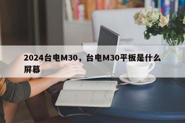 2024台电M30,台电M30平板是什么屏幕