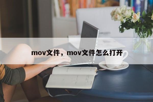 mov文件,mov文件怎么打开