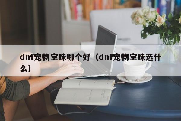dnf宠物宝珠哪个好(dnf宠物宝珠选什么)