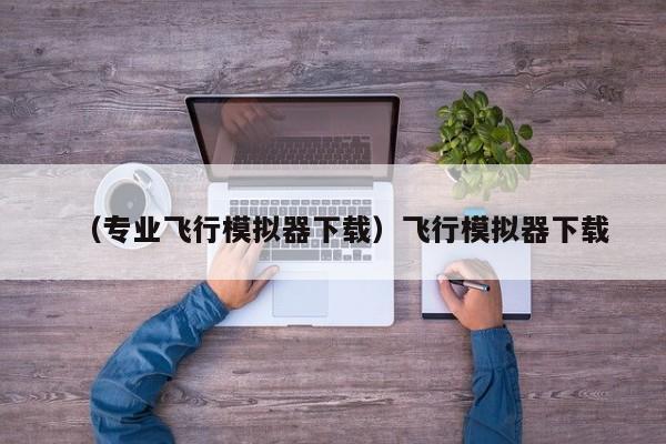 （专业飞行模拟器下载）飞行模拟器下载