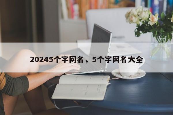 20245个字网名，5个字网名大全