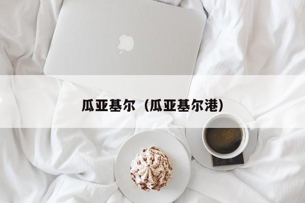 瓜亚基尔（瓜亚基尔港）