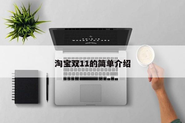 淘宝双11的简单介绍