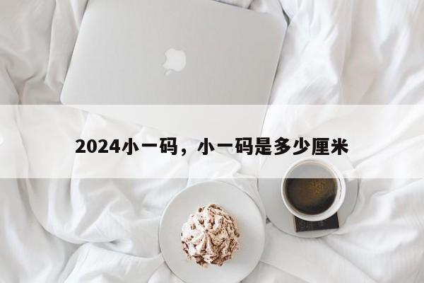 2024小一码，小一码是多少厘米