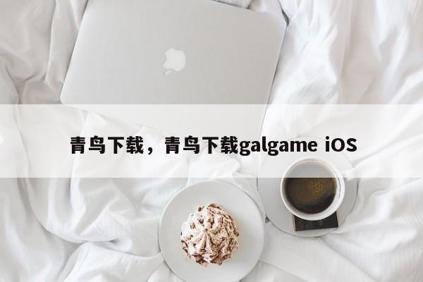 青鸟下载,青鸟下载galgame iOS