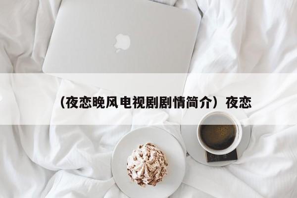(夜恋晚风电视剧剧情简介)夜恋