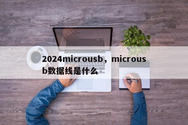 2024microusb,microusb数据线是什么