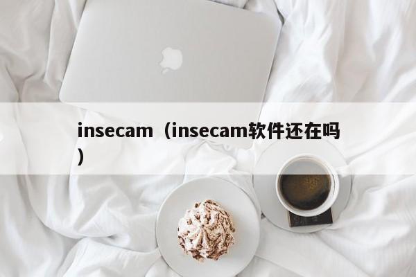 insecam(insecam软件还在吗)