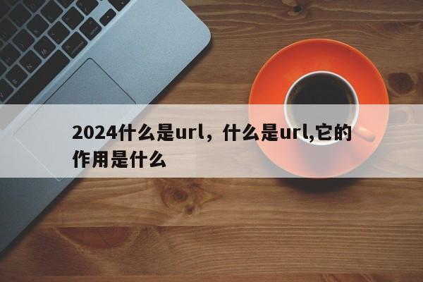 2024什么是url,什么是url,它的作用是什么