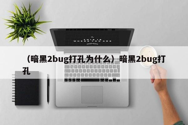 (暗黑2bug打孔为什么)暗黑2bug打孔