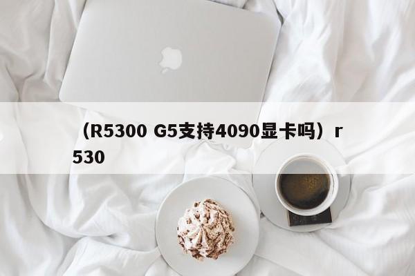 (R5300 G5支持4090显卡吗)r530