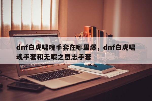 dnf白虎啸魂手套在哪里爆,dnf白虎啸魂手套和无暇之意志手套