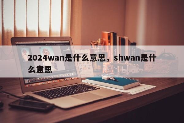 2024wan是什么意思,shwan是什么意思