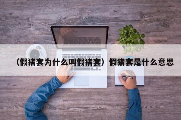 （假猪套为什么叫假猪套）假猪套是什么意思