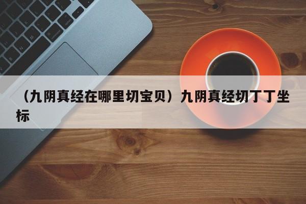 （九阴真经在哪里切宝贝）九阴真经切丁丁坐标
