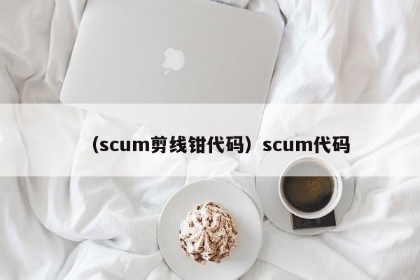 （scum剪线钳代码）scum代码