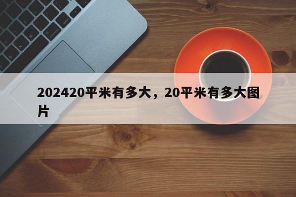 202420平米有多大，20平米有多大图片