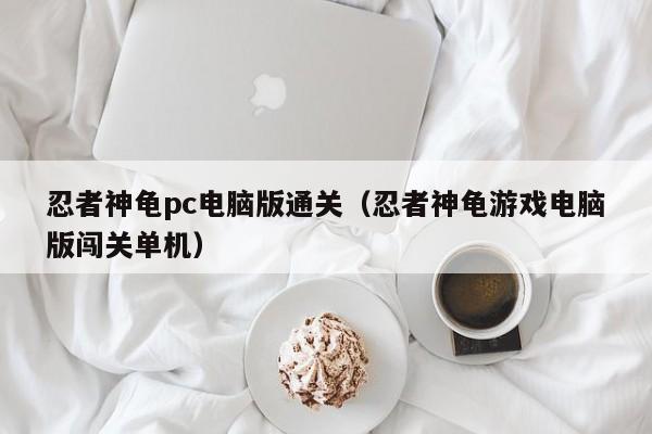 忍者神龟pc电脑版通关（忍者神龟游戏电脑版闯关单机）