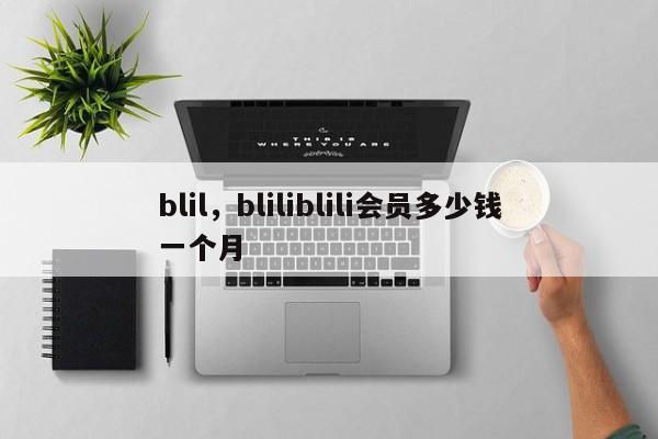 blil，bliliblili会员多少钱一个月