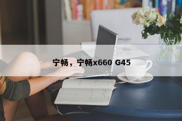宁畅，宁畅x660 G45