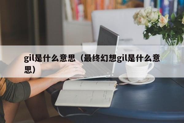 gil是什么意思（最终幻想gil是什么意思）
